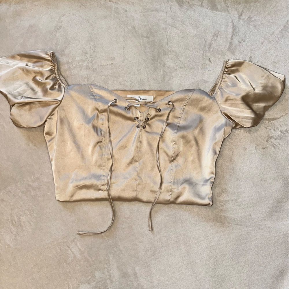 Cream Puff Sleeve Satin Crop Top - Picture 2 of 7